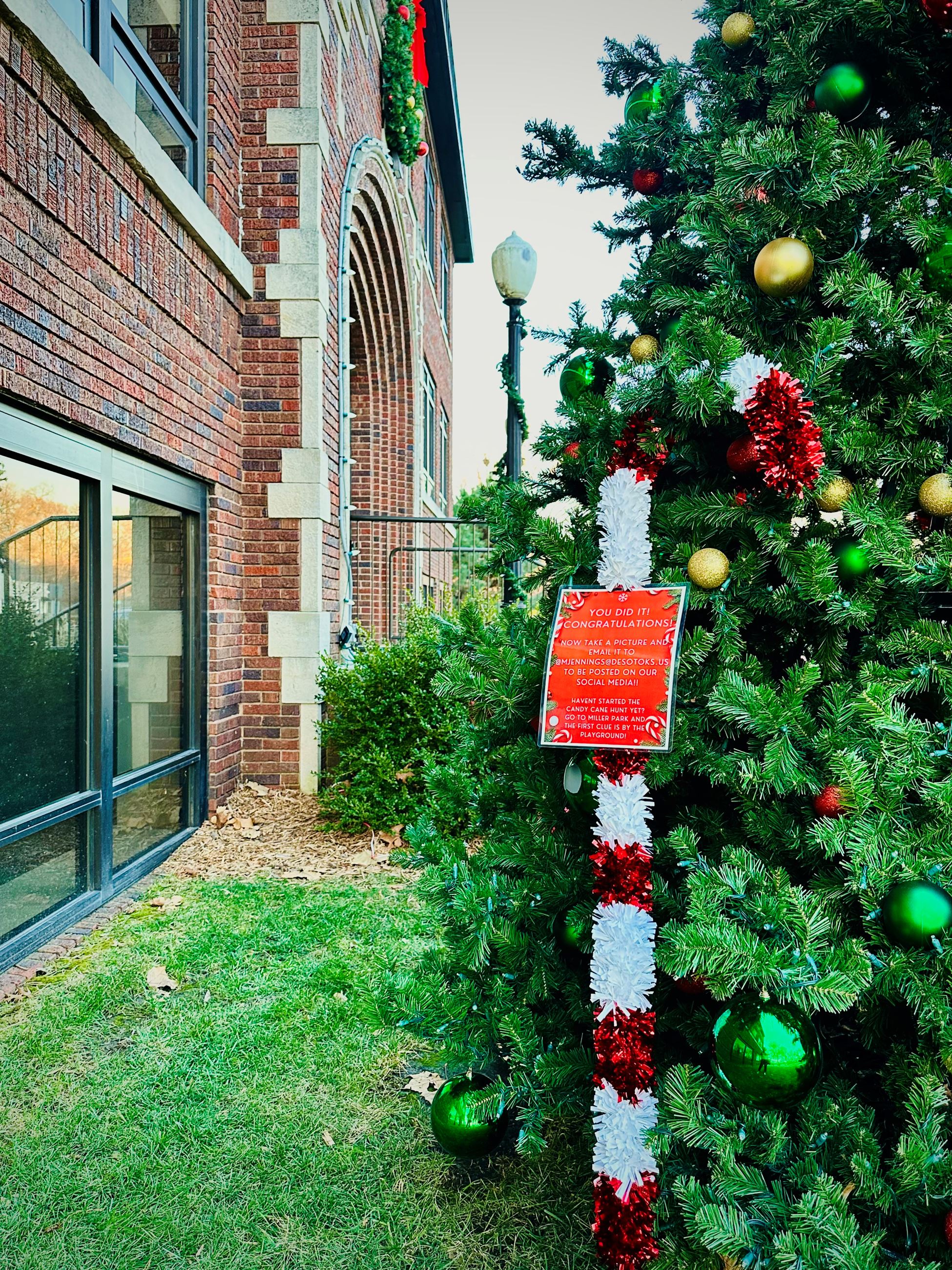 Final Candy Cane Hunt Stop