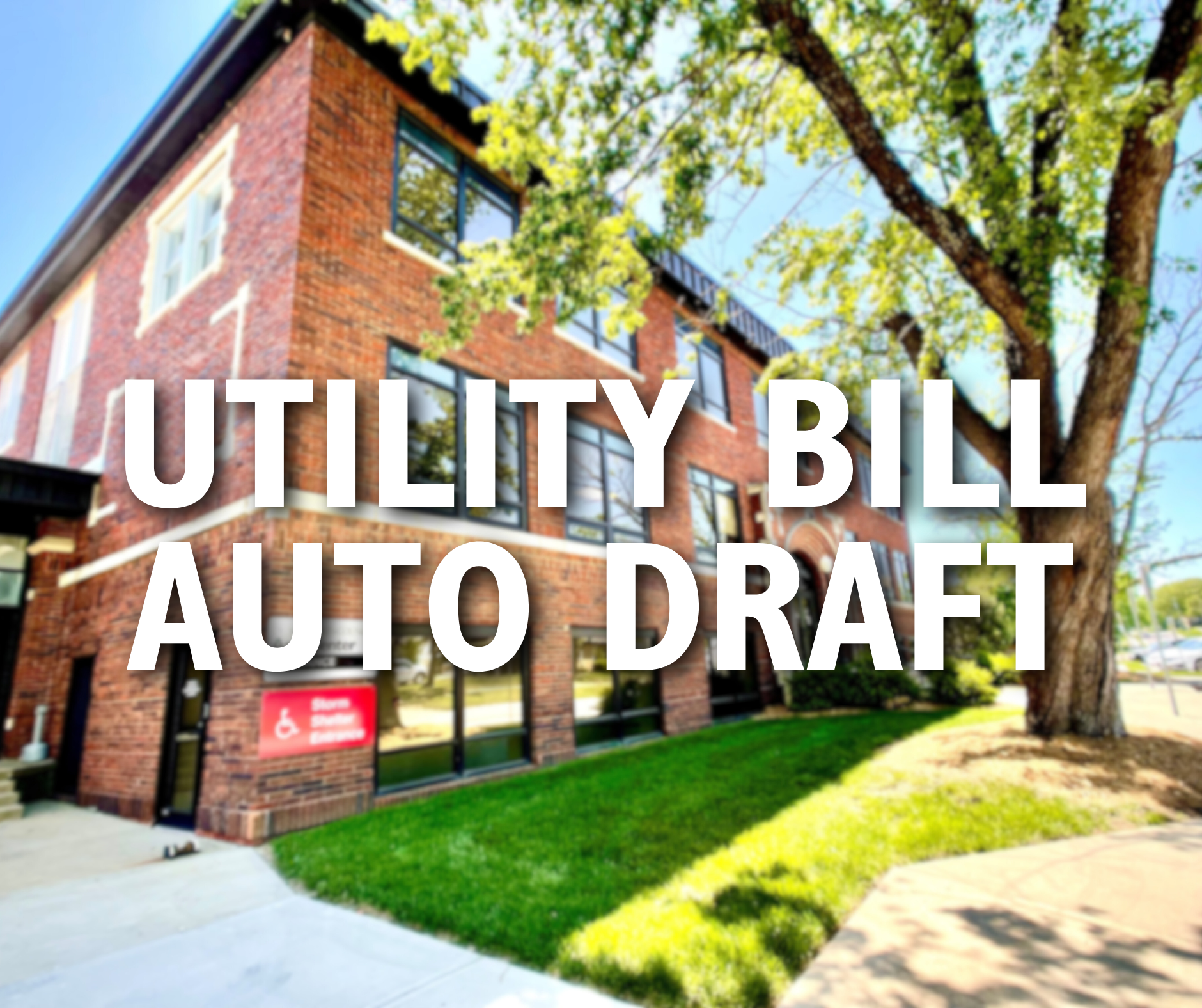 E-Newsletter Graphics - auto draft