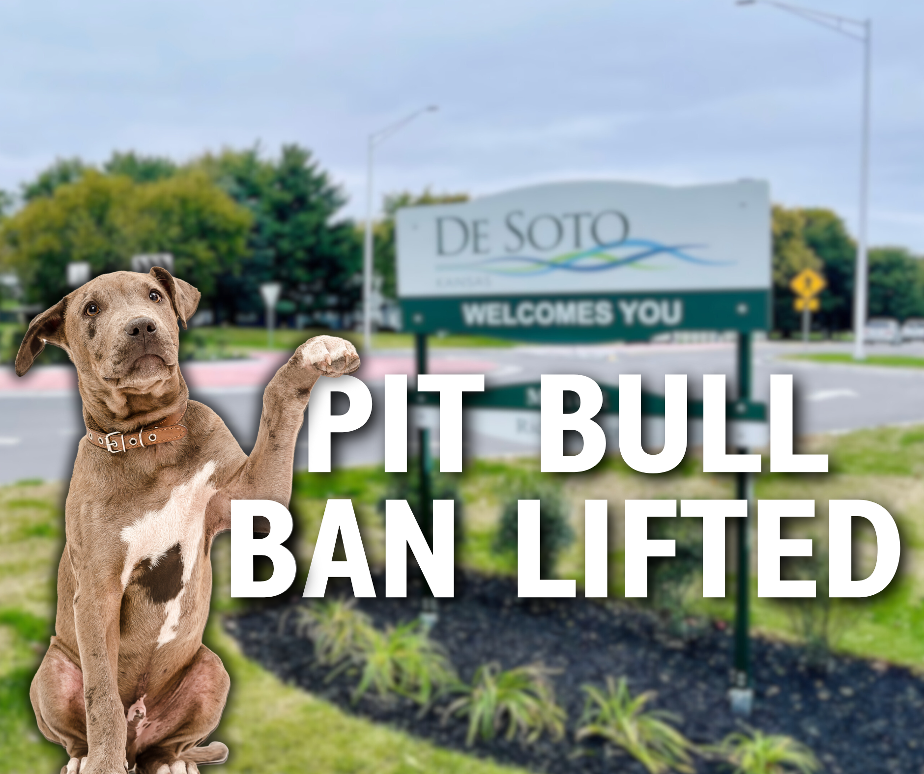Pit Bull Ban Lifted